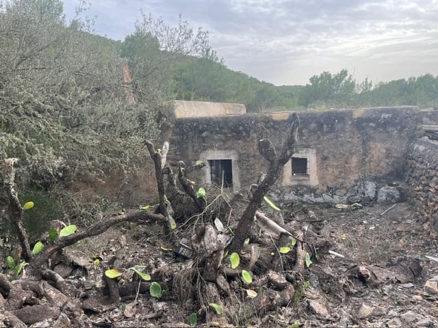 Teren niezagospodarowany na sprzedaż w San Jose / Sant Josep de Sa Talaia - 1 390 000 € (Ref: 9588426)