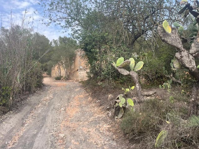 Teren niezagospodarowany na sprzedaż w San Jose / Sant Josep de Sa Talaia - 1 390 000 € (Ref: 9588426)