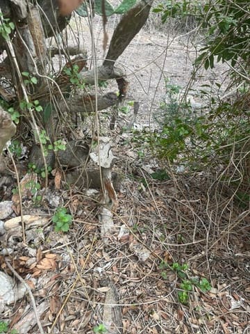 Teren niezagospodarowany na sprzedaż w San Jose / Sant Josep de Sa Talaia - 1 390 000 € (Ref: 9588426)