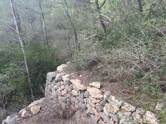 Teren niezagospodarowany na sprzedaż w San Jose / Sant Josep de Sa Talaia - 1 390 000 € (Ref: 9588426)