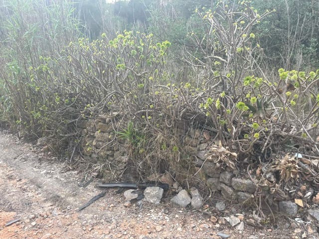 Teren niezagospodarowany na sprzedaż w San Jose / Sant Josep de Sa Talaia - 1 390 000 € (Ref: 9588426)