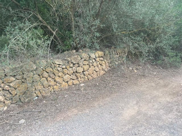 Teren niezagospodarowany na sprzedaż w San Jose / Sant Josep de Sa Talaia - 1 390 000 € (Ref: 9588426)