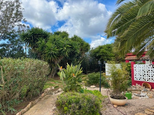 4 camera da letto Finca/Casa di Campagna in vendita in Algaida con piscina - 795.000 € (Rif: 9591676)