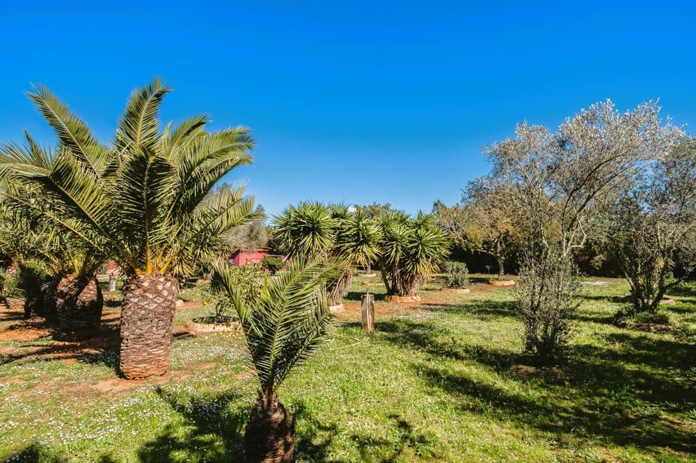 4 camera da letto Finca/Casa di Campagna in vendita in Algaida con piscina - 795.000 € (Rif: 9591676)