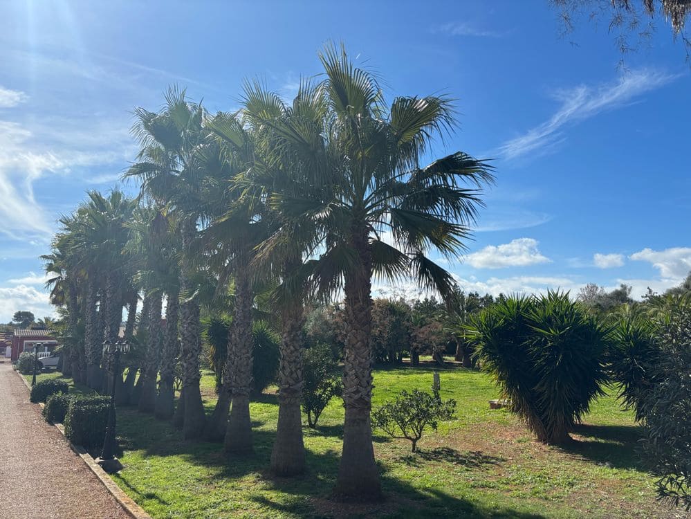 4 camera da letto Finca/Casa di Campagna in vendita in Algaida con piscina - 795.000 € (Rif: 9591676)