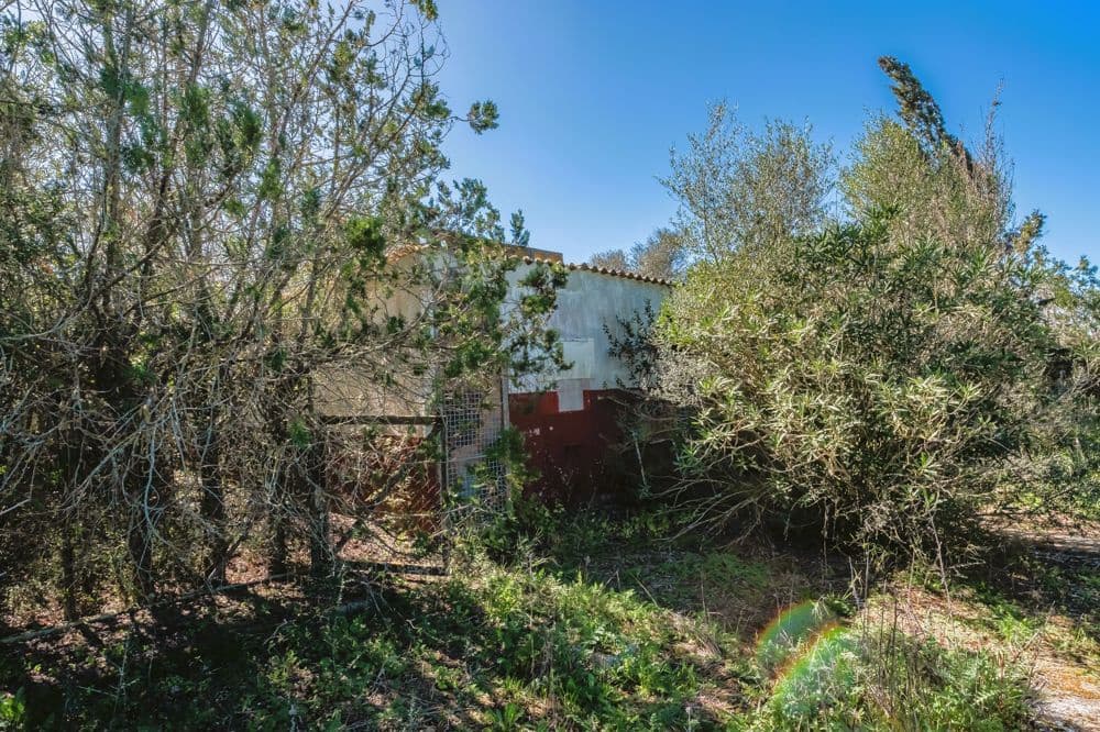 4 camera da letto Finca/Casa di Campagna in vendita in Algaida con piscina - 795.000 € (Rif: 9591676)