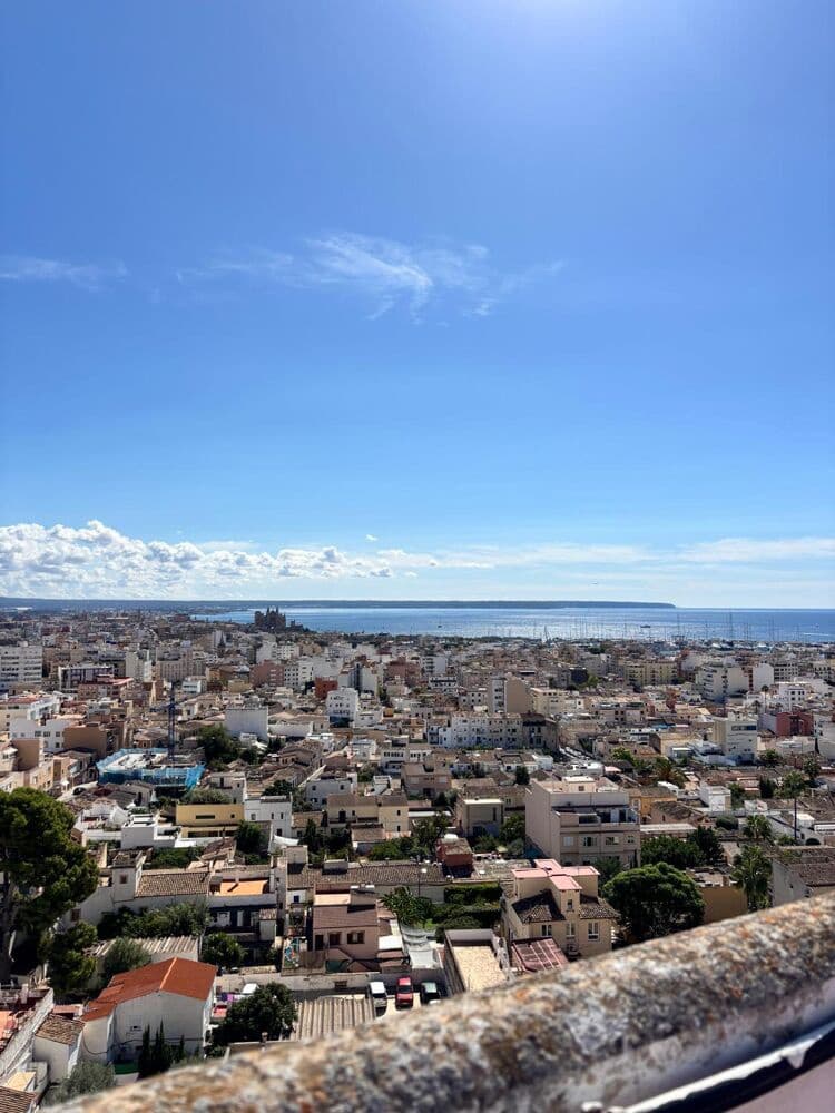 3 bedroom Flat for sale in Palma de Mallorca - € 599,000 (Ref: 9591692)