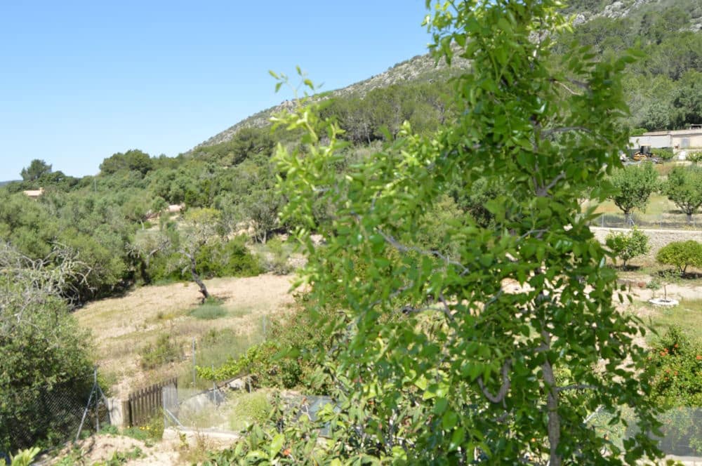 3 soveværelse Finca/Landehus til leje i Llucmajor med swimmingpool - € 2.750 (Ref: 9684359)