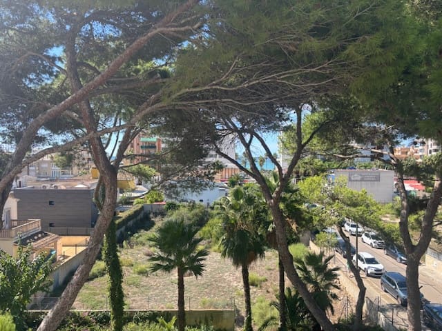 1 bedroom Flat for rent in Las Maravillas, Palma de Mallorca - € 1,400 (Ref: 9736179)