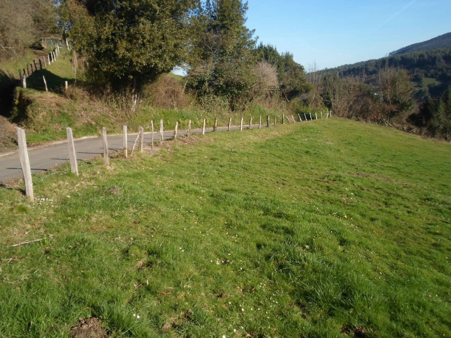 Grunde uden byggetilladelser til salg i Villaviciosa - € 78.000 (Ref: 3849808)