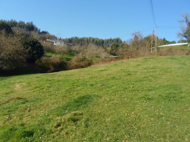 Grond te koop in Villaviciosa - € 78.000 (Ref: 3849808)
