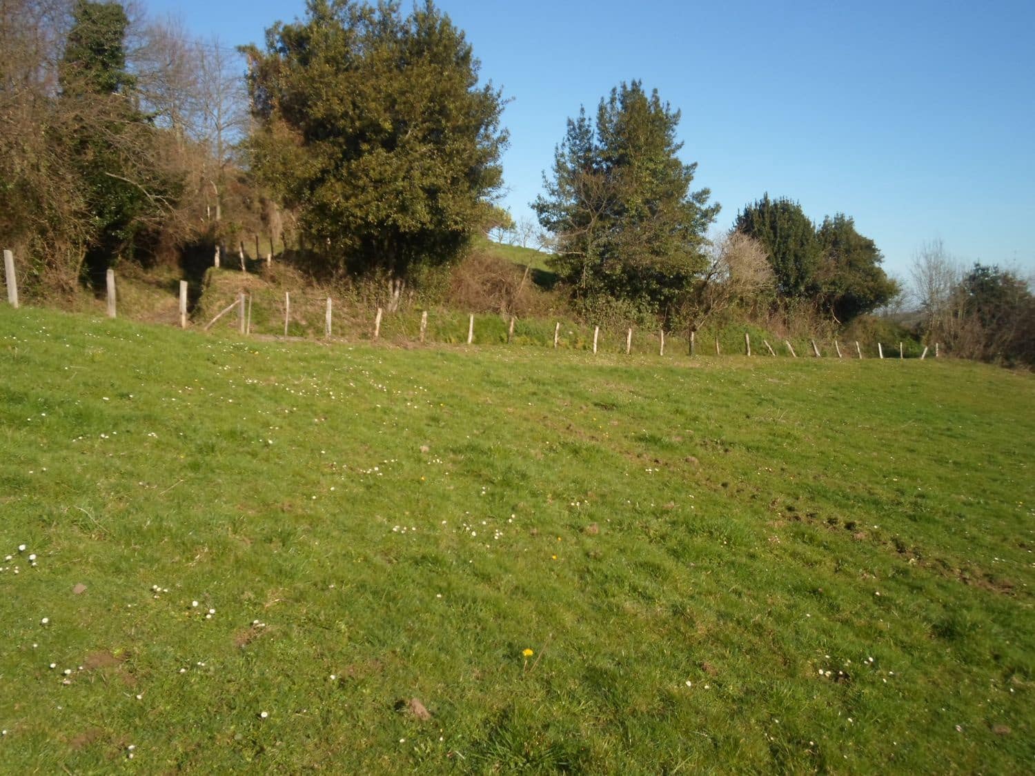 Grunde uden byggetilladelser til salg i Villaviciosa - € 78.000 (Ref: 3849808)