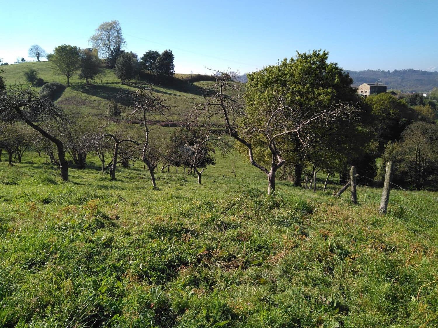 Grunde uden byggetilladelser til salg i Siero - € 130.000 (Ref: 4073577)