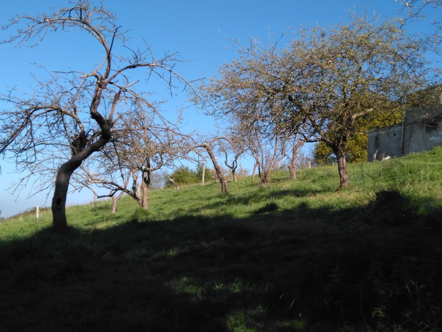 Grunde uden byggetilladelser til salg i Siero - € 130.000 (Ref: 4073577)