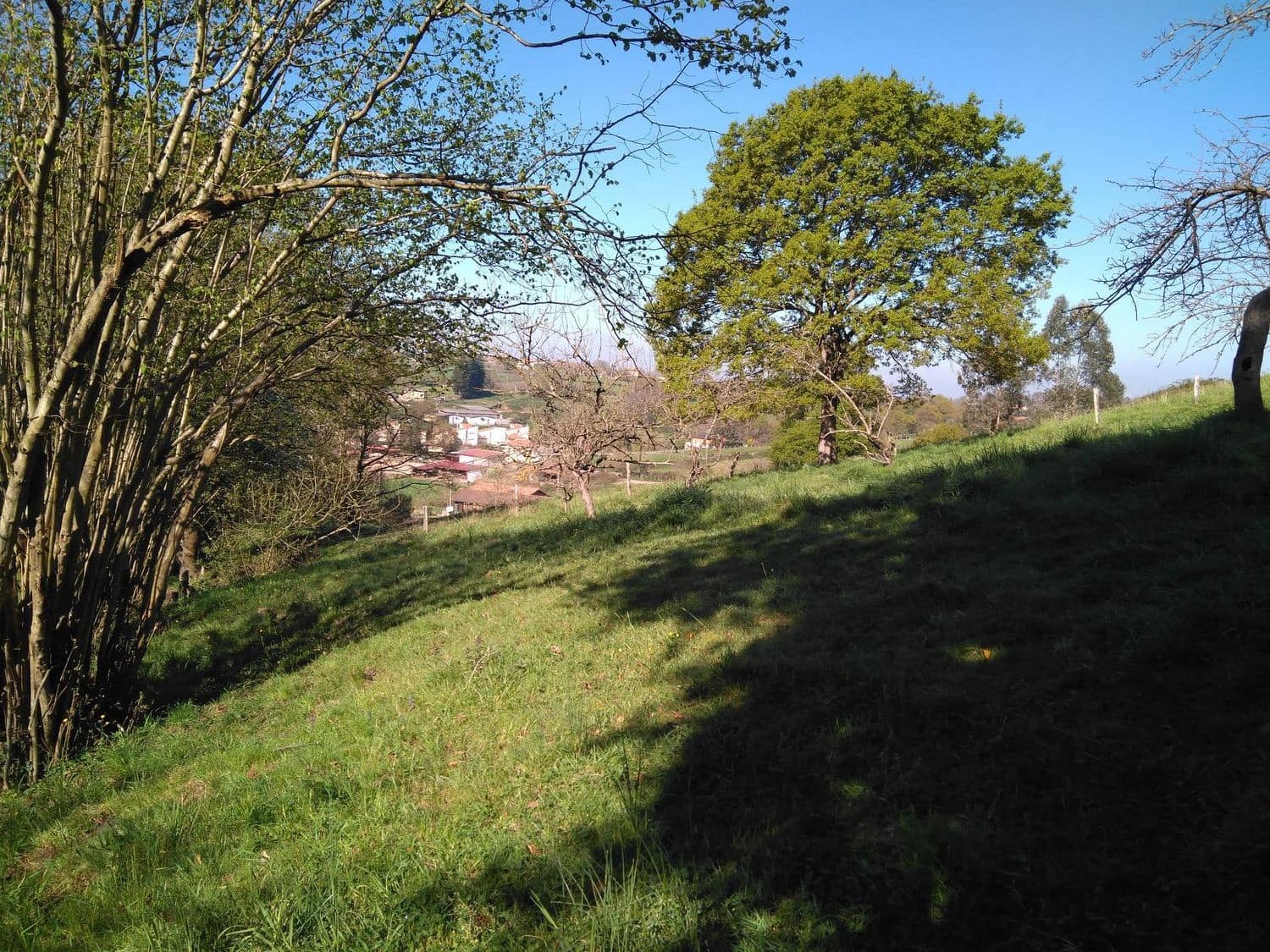 Grunde uden byggetilladelser til salg i Siero - € 130.000 (Ref: 4073577)