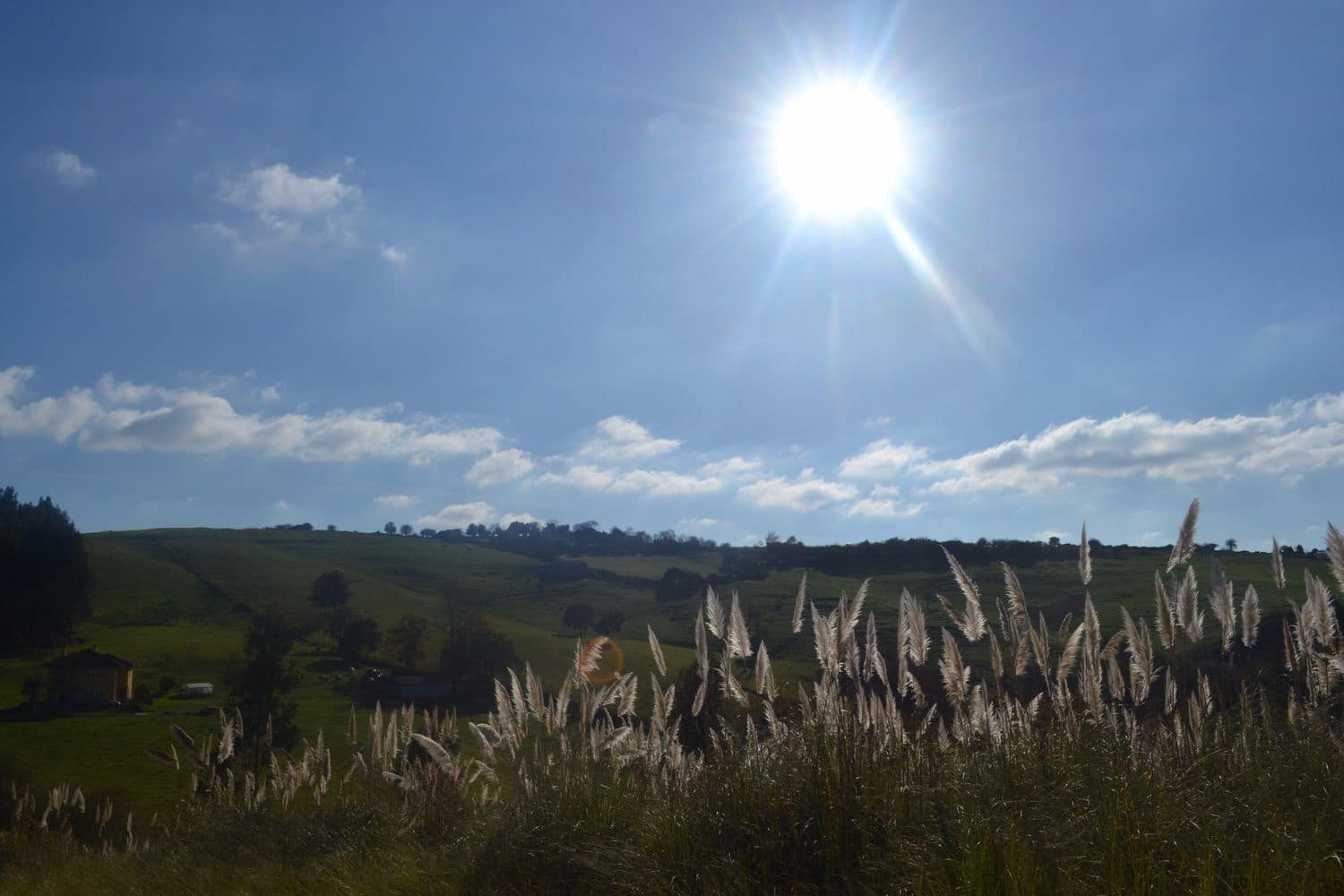 Grunde uden byggetilladelser til salg i Llanera - € 99.000 (Ref: 4073588)