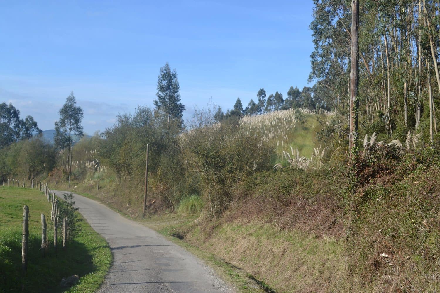 Grunde uden byggetilladelser til salg i Llanera - € 99.000 (Ref: 4073588)