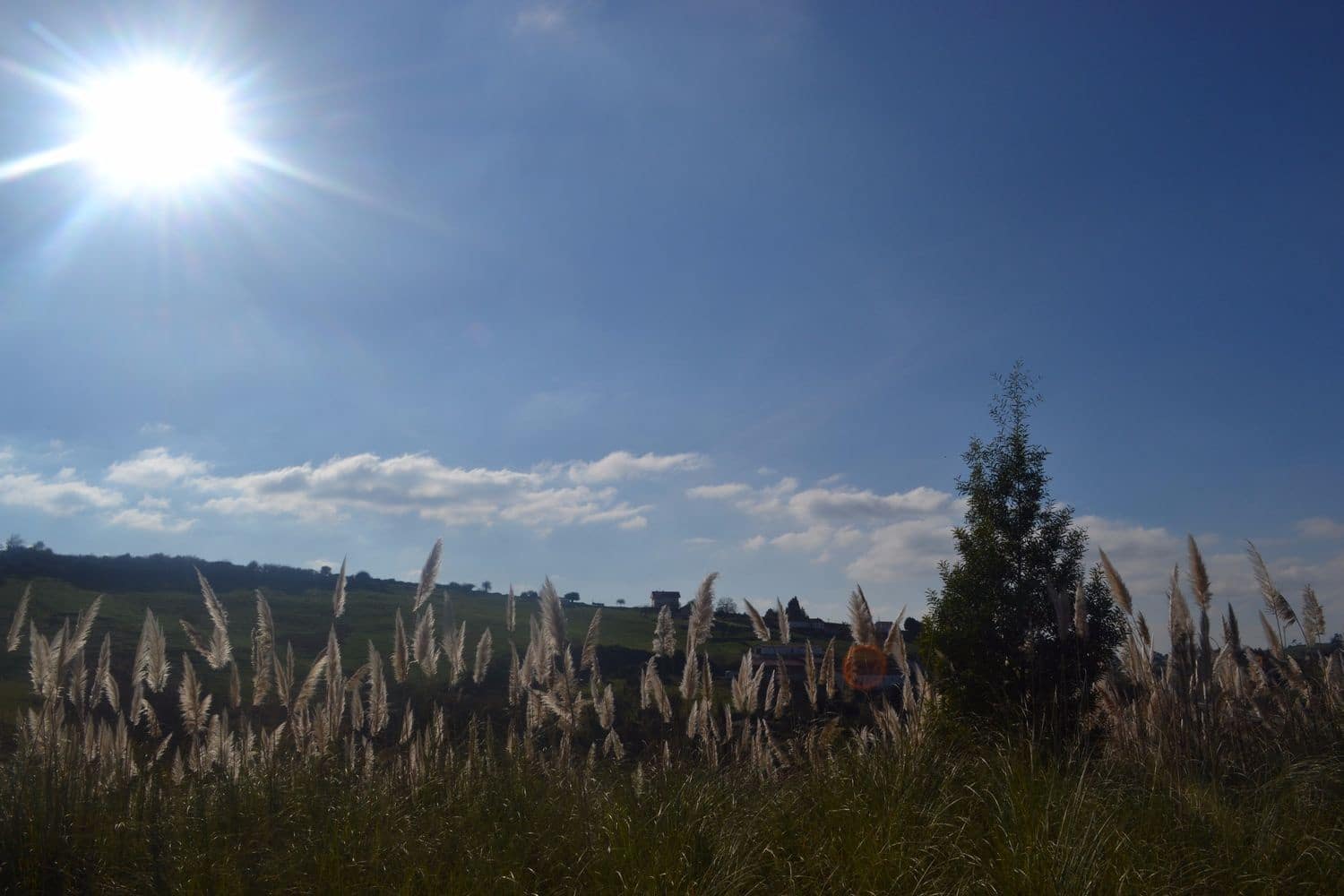 Grunde uden byggetilladelser til salg i Llanera - € 99.000 (Ref: 4073588)