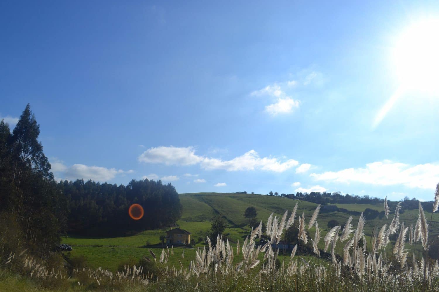 Grunde uden byggetilladelser til salg i Llanera - € 99.000 (Ref: 4073588)