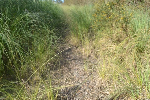 Rakentamaton maa myytävänä paikassa Llanera - 99 000 € (Ref: 4073588)