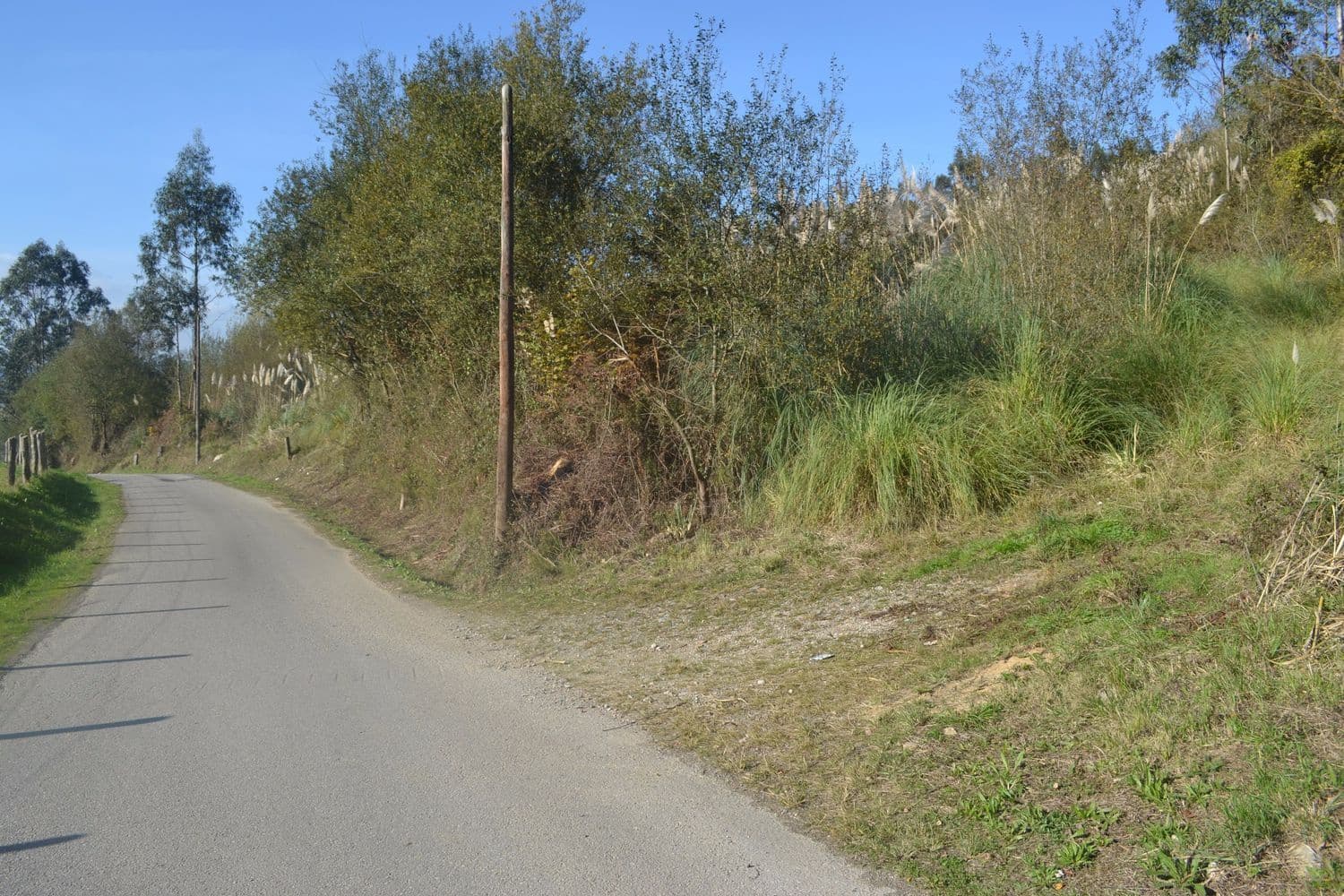 Grunde uden byggetilladelser til salg i Llanera - € 99.000 (Ref: 4073588)