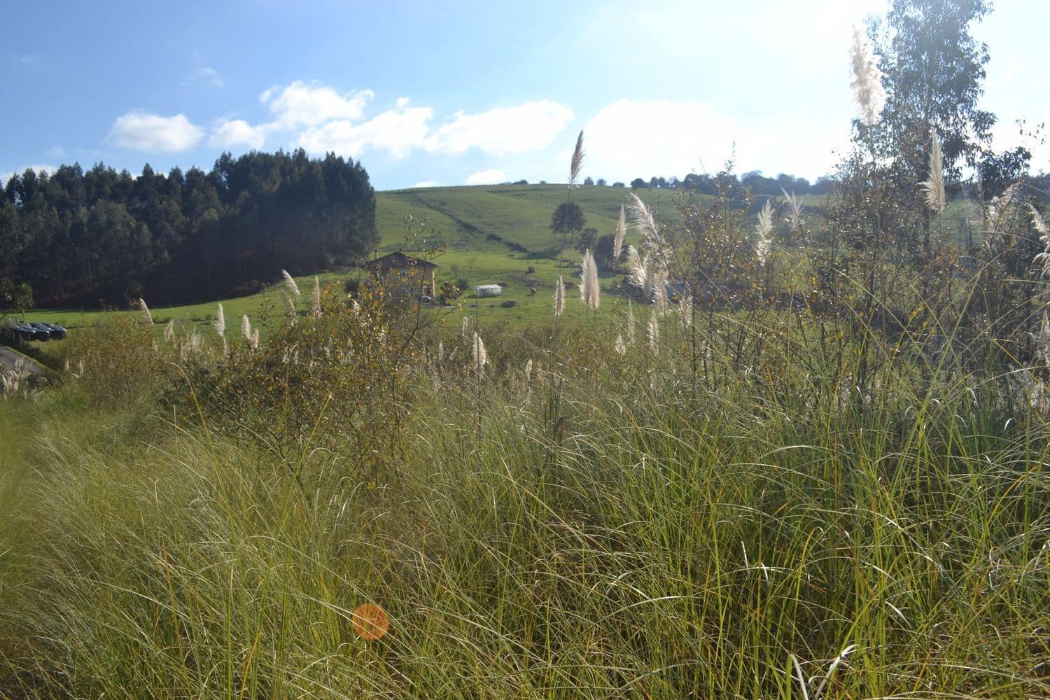 Grunde uden byggetilladelser til salg i Llanera - € 99.000 (Ref: 4073588)