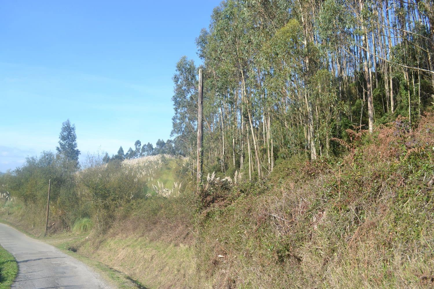 Grunde uden byggetilladelser til salg i Llanera - € 99.000 (Ref: 4073588)