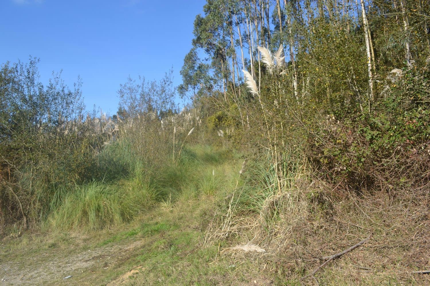 Grunde uden byggetilladelser til salg i Llanera - € 99.000 (Ref: 4073588)