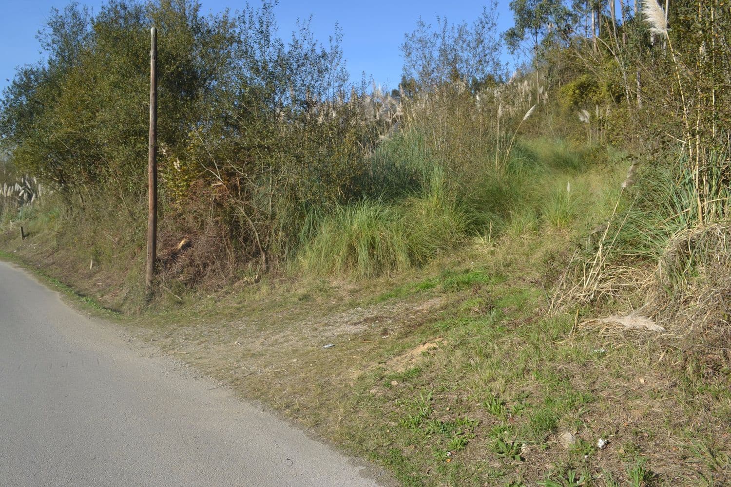 Grunde uden byggetilladelser til salg i Llanera - € 99.000 (Ref: 4073588)