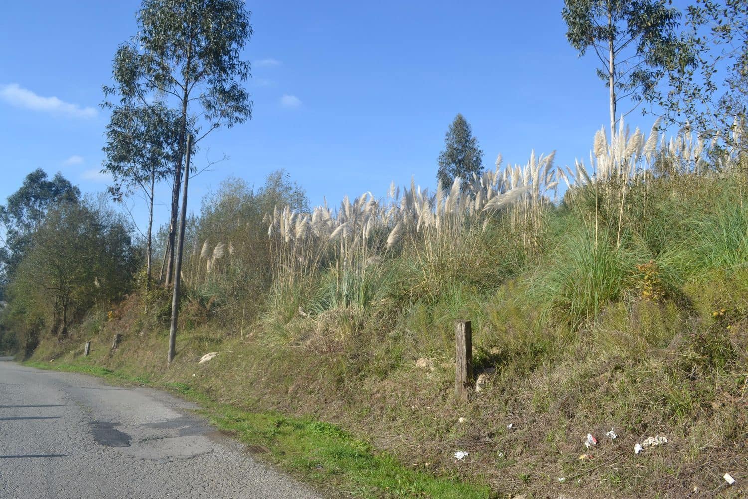 Grunde uden byggetilladelser til salg i Llanera - € 99.000 (Ref: 4073588)