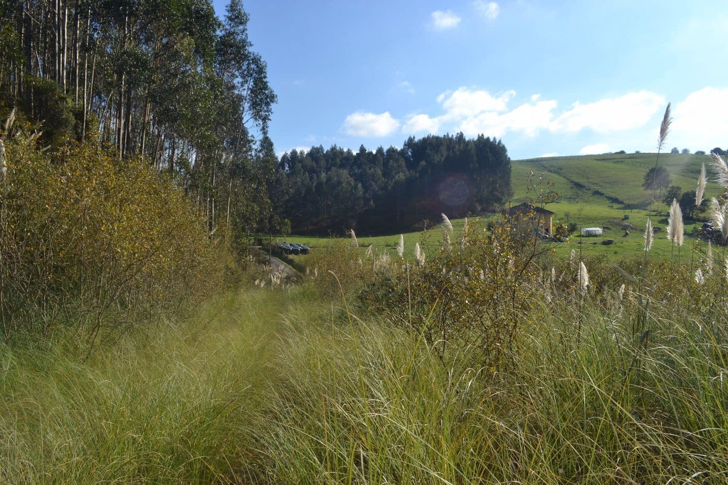 Grunde uden byggetilladelser til salg i Llanera - € 99.000 (Ref: 4073588)