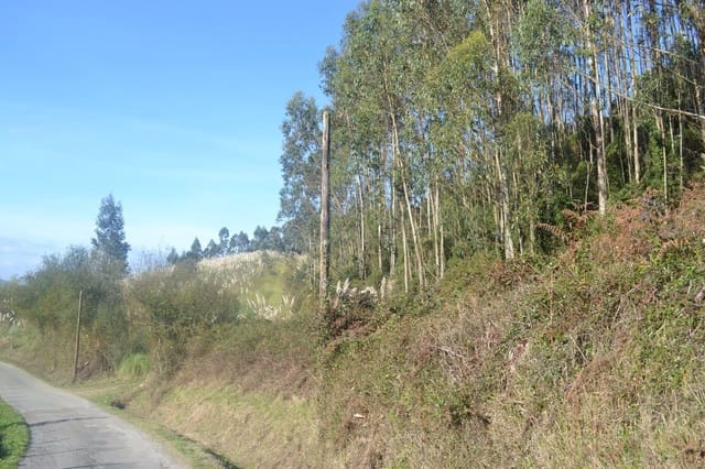 Rakentamaton maa myytävänä paikassa Llanera - 99 000 € (Ref: 4073588)