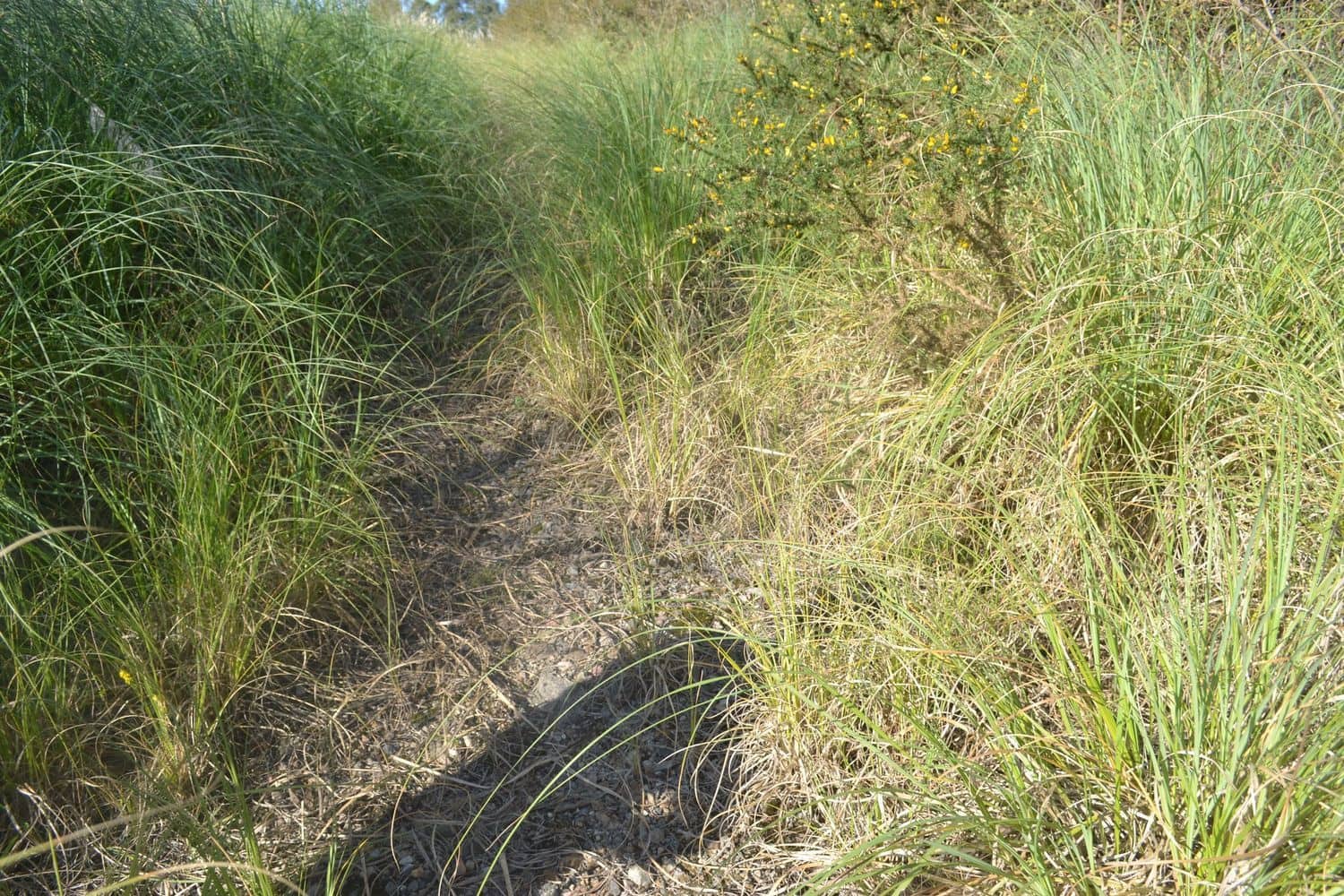 Grunde uden byggetilladelser til salg i Llanera - € 99.000 (Ref: 4073588)