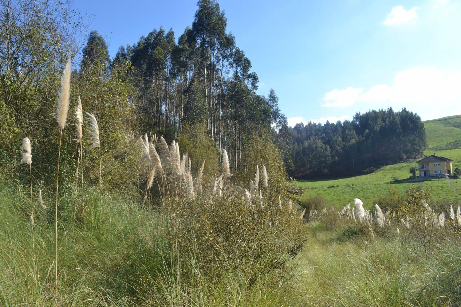 Grunde uden byggetilladelser til salg i Llanera - € 99.000 (Ref: 4073588)