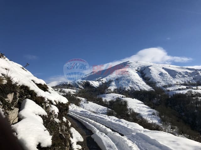 2 bedroom Finca/Country House for sale in Piloña - € 210,000 (Ref: 4628856)