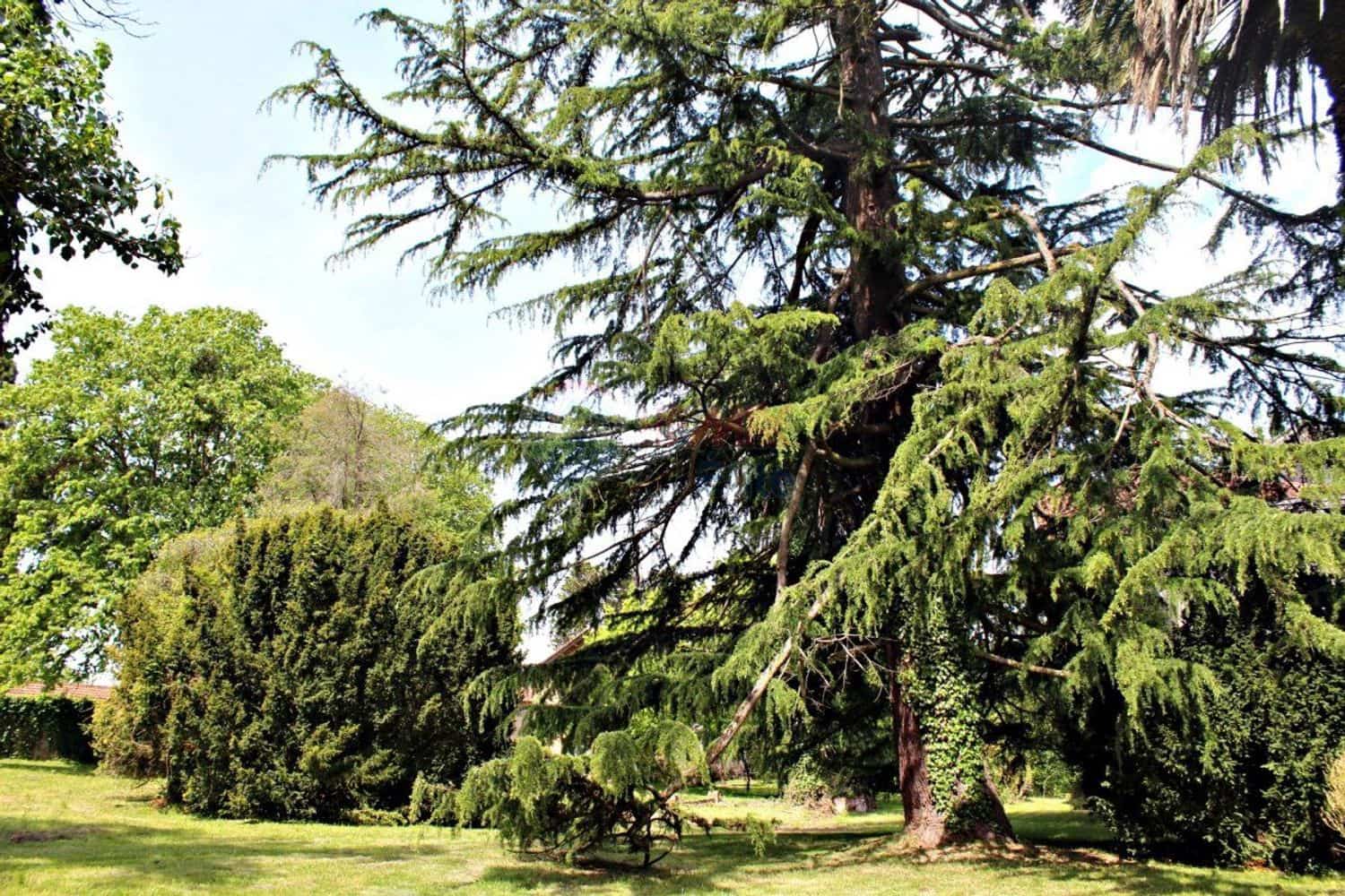 9 soveværelse Finca/Landehus til salg i Gijon med garage - € 650.000 (Ref: 4628937)