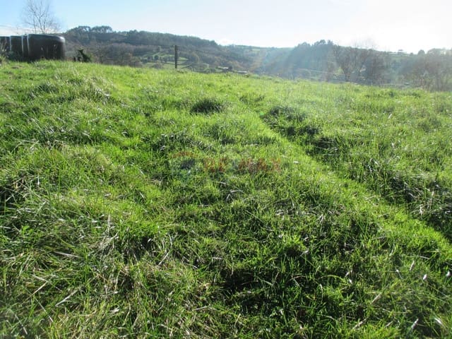 Grond te koop in Noreña - € 63.000 (Ref: 4684762)