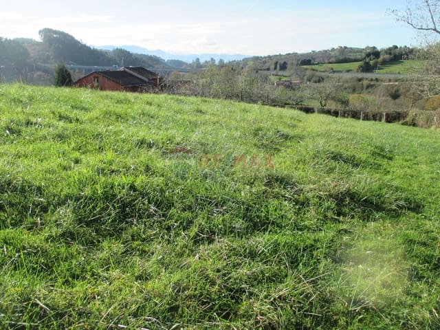 Grond te koop in Noreña - € 63.000 (Ref: 4684762)