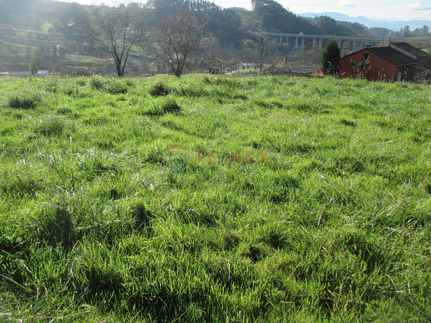 Grunde uden byggetilladelser til salg i Norena - € 63.000 (Ref: 4684762)