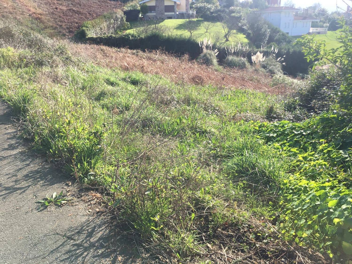 Grunde uden byggetilladelser til salg i Gijon - € 217.000 (Ref: 5088559)