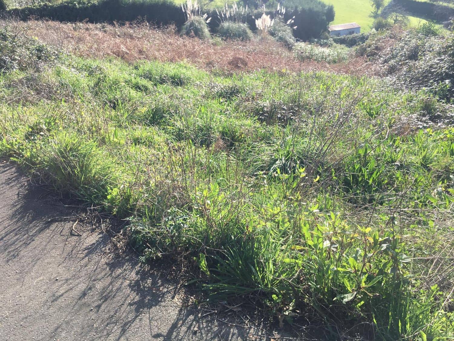 Grunde uden byggetilladelser til salg i Gijon - € 217.000 (Ref: 5088559)