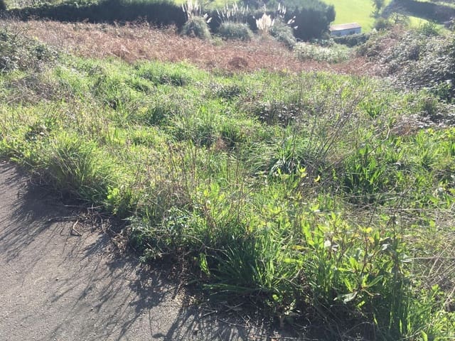 Grond te koop in Gijón - € 217.000 (Ref: 5088559)