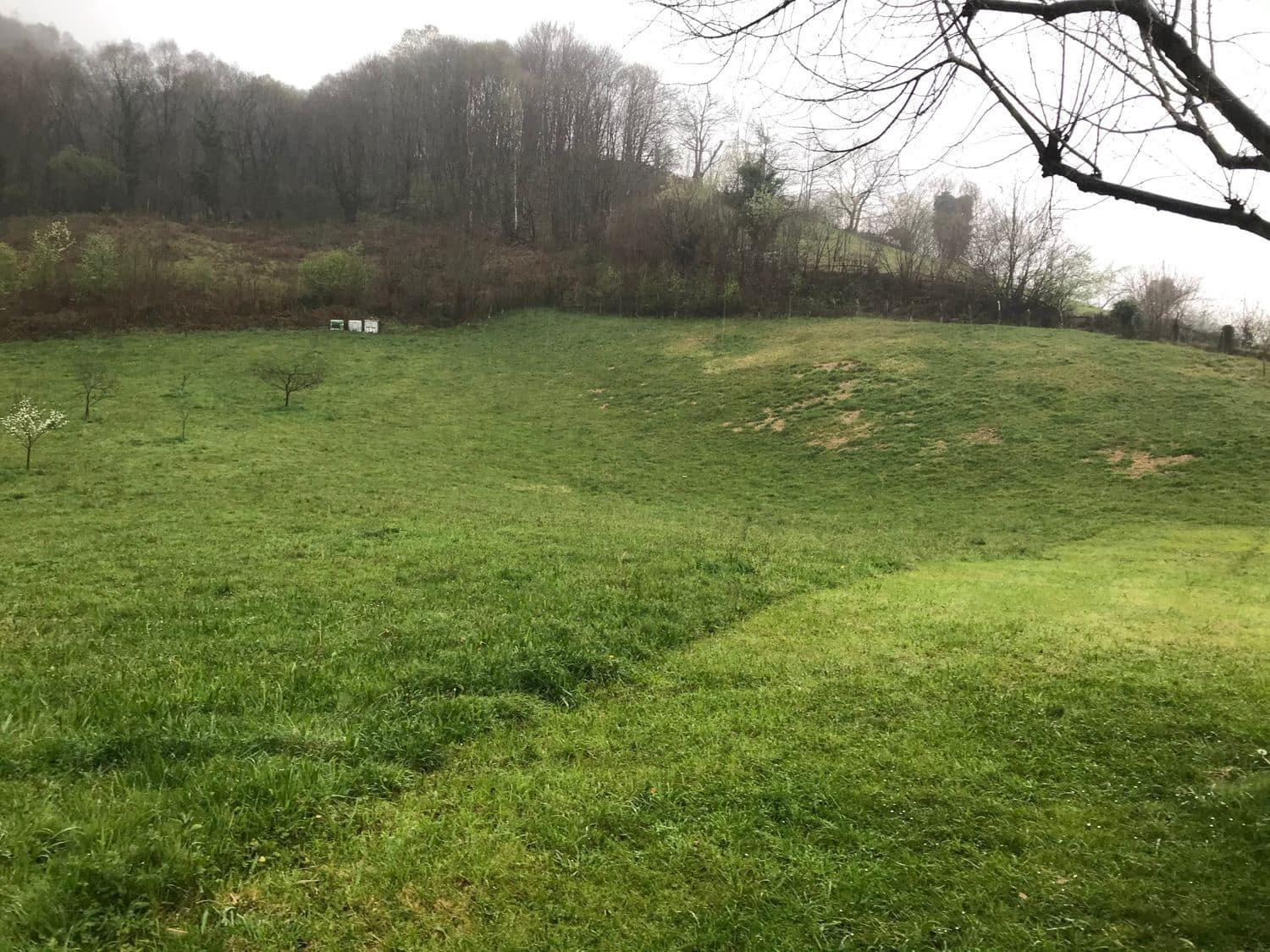 Grunde uden byggetilladelser til salg i Mieres - € 94.000 (Ref: 5179054)