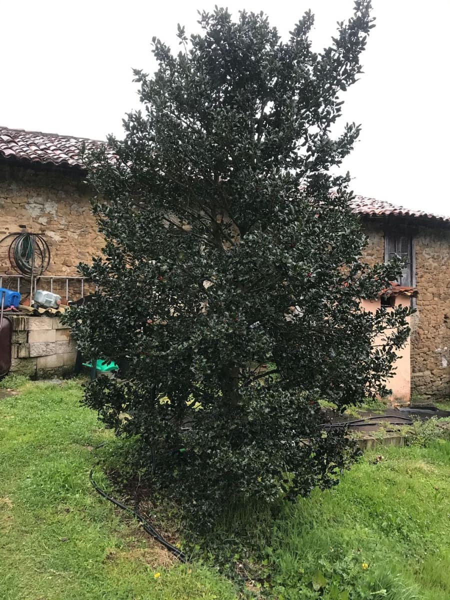 Grunde uden byggetilladelser til salg i Mieres - € 94.000 (Ref: 5179054)