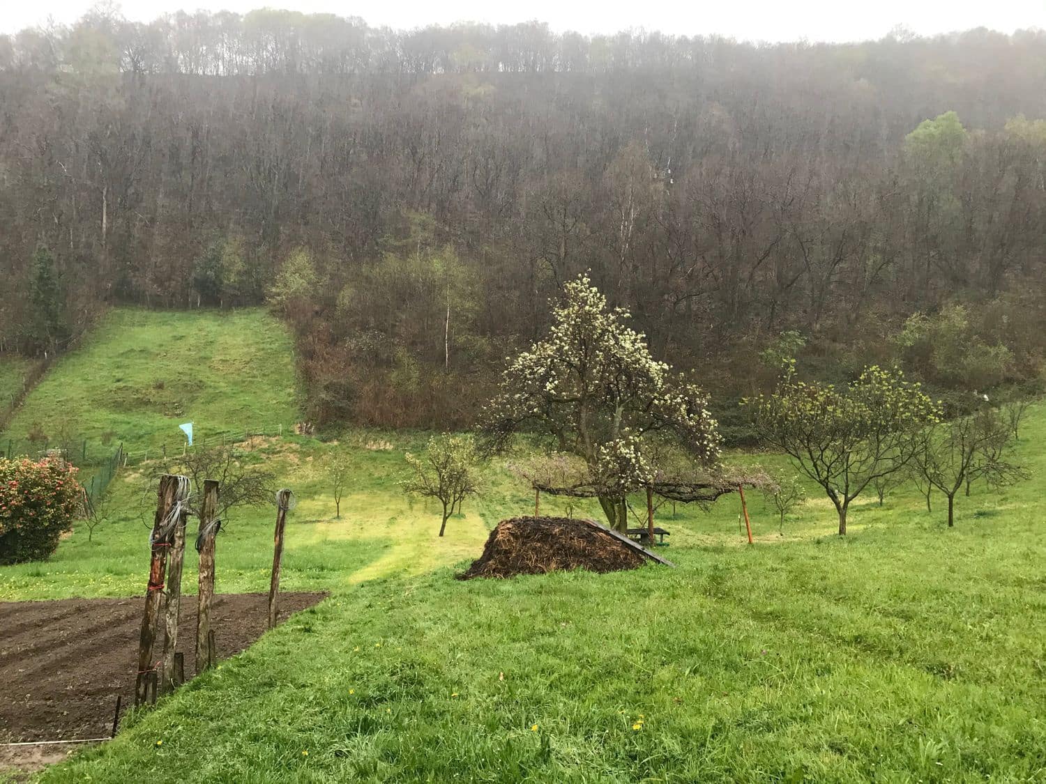 Grunde uden byggetilladelser til salg i Mieres - € 94.000 (Ref: 5179054)