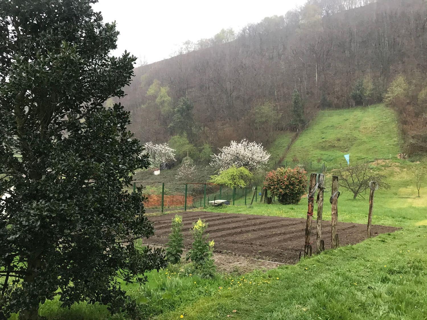 Grunde uden byggetilladelser til salg i Mieres - € 94.000 (Ref: 5179054)