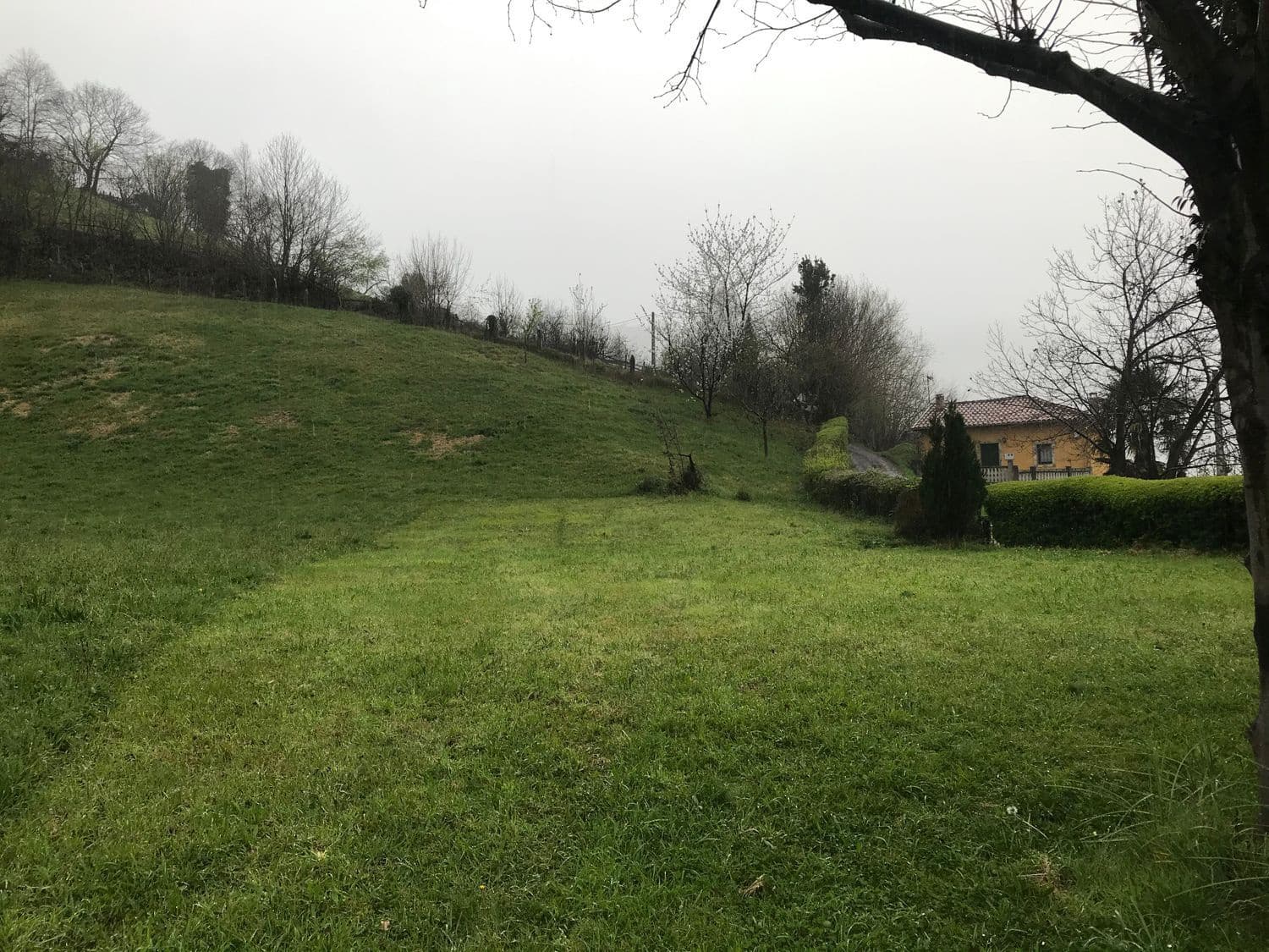 Grunde uden byggetilladelser til salg i Mieres - € 94.000 (Ref: 5179054)