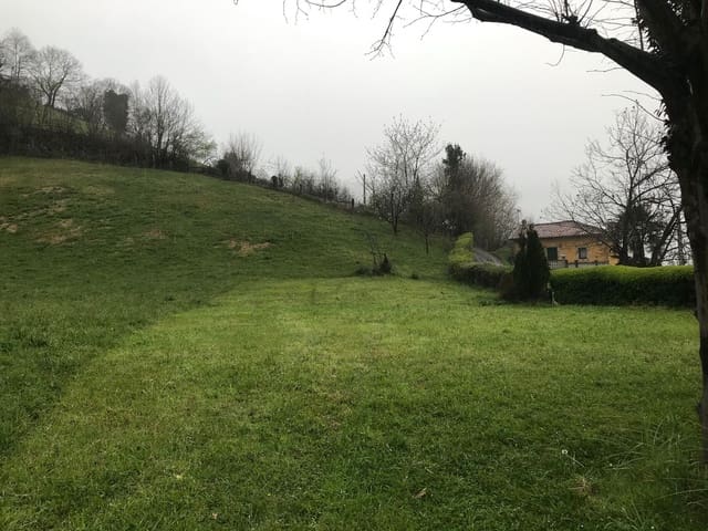 Mark till salu i Mieres - 94 000 € (Ref: 5179054)