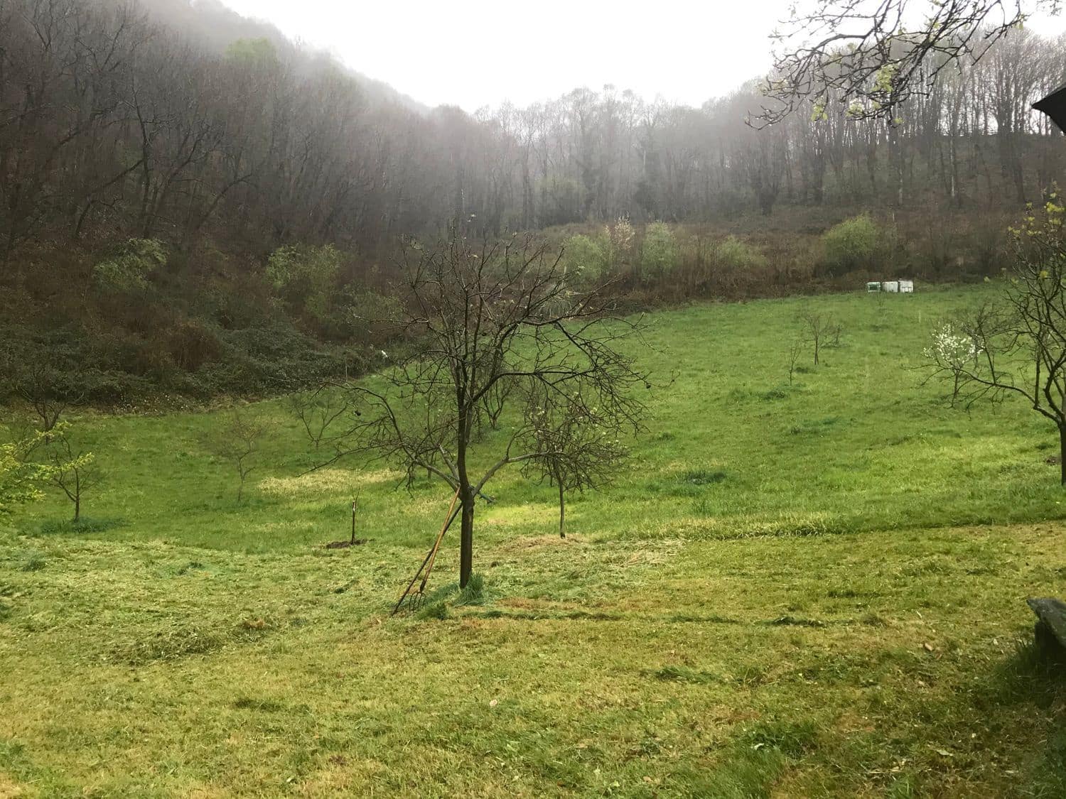 Grunde uden byggetilladelser til salg i Mieres - € 94.000 (Ref: 5179054)