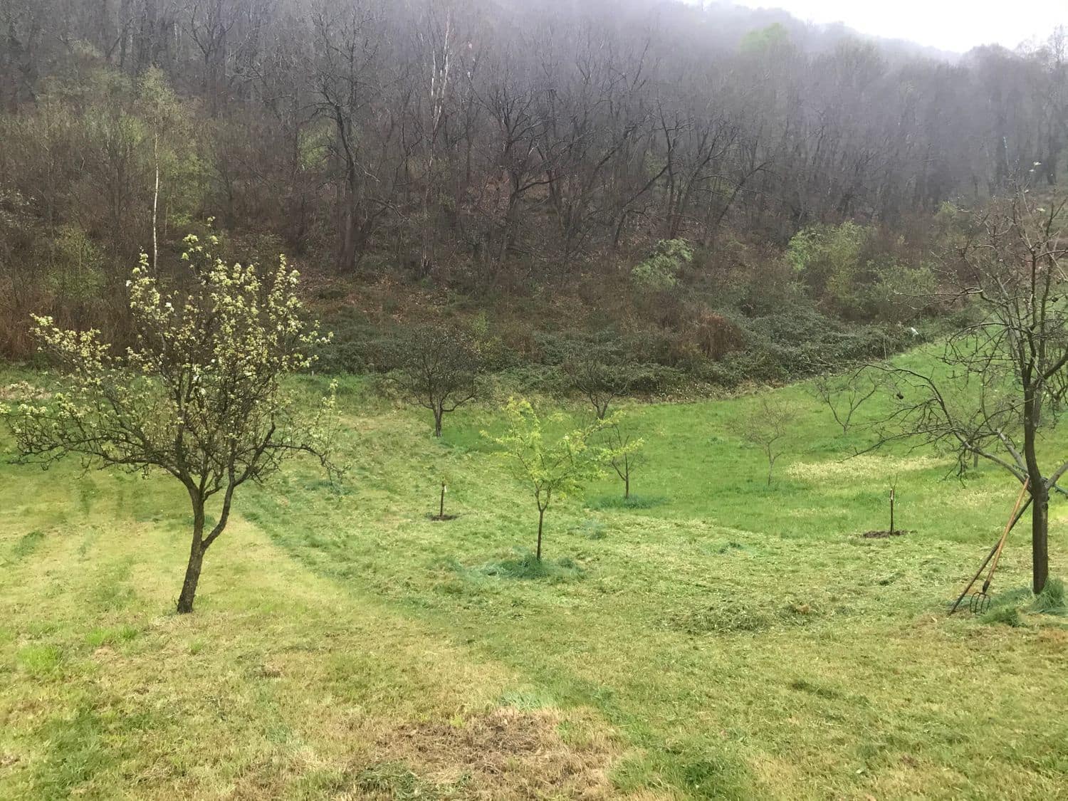 Grunde uden byggetilladelser til salg i Mieres - € 94.000 (Ref: 5179054)